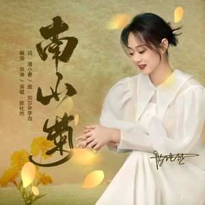 南山菊