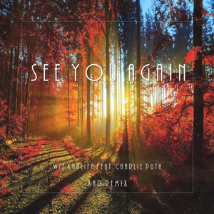 See You Again (Xad Remix)