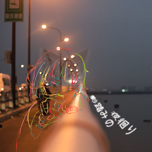 影踏みの夜徊り