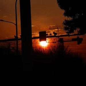 想你的时候仰望夜空