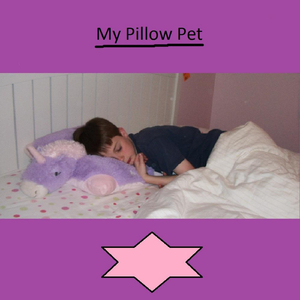 My Pillow Pet