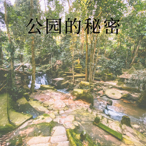 公园的秘密