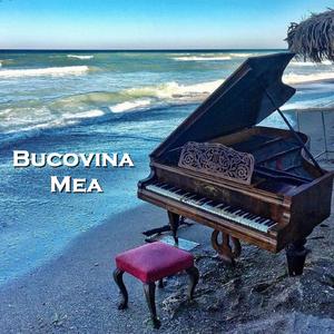 Bucovina Mea