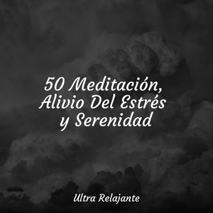 Himnos De La Pasión Por Los Viajes