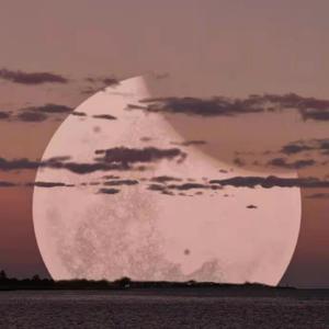 呻.（Prod by FRESH-ye）