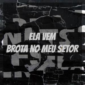 ELA VEM, BROTA NO MEU SETOR (feat. MC RODRIGO DO CN)