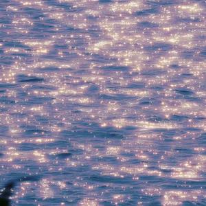 友情多余暧昧未够（Cover）（翻自：乐思言）