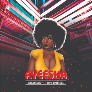 Ayeesha (feat. Tomi Darrell)