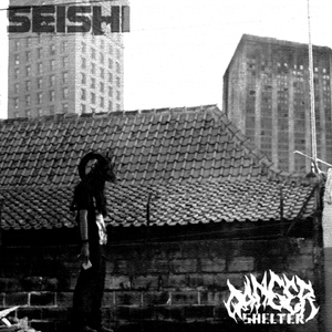 Seishi