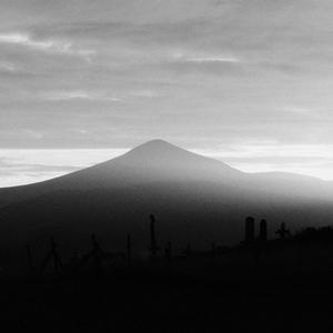 I just might go insane