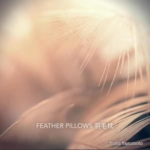 Feather Pillows