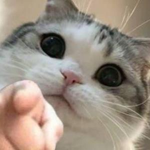 one day in spring（春野）