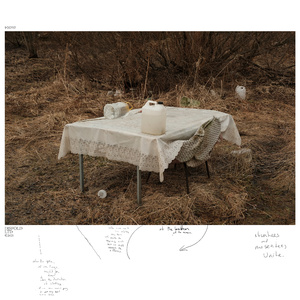 Self Dissipative Computing External Replicants