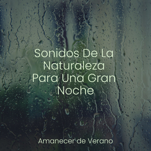 La Resiliencia del Rebelde Eco