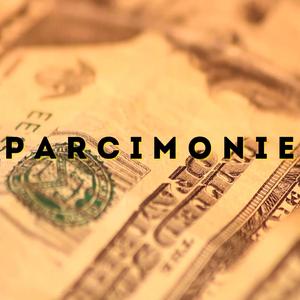 Parcimonie