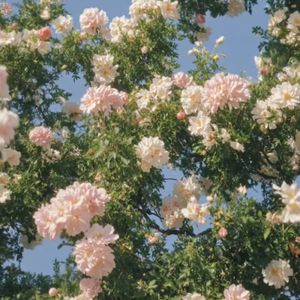 遇见即是上上签