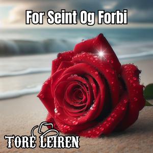 For Seint Og Forbi