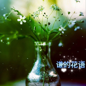谦的花语 (写给薛之谦的歌)