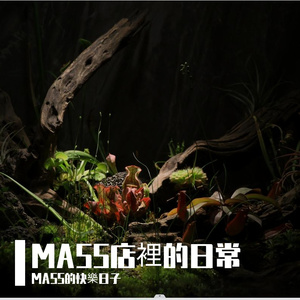 咖啡店的工作日