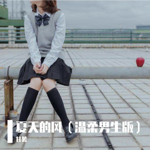 夏天的风（温柔男生版）