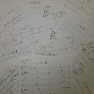 sample17