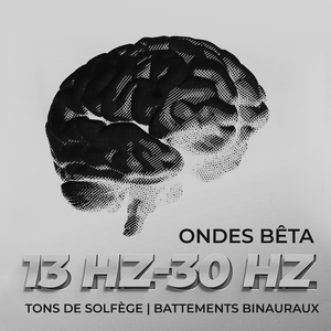 Ondes Bêta 13 Hz (Puissance de visualisation)