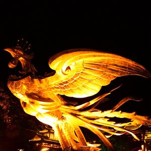 Rising from the Ashes