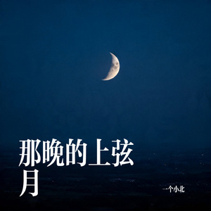 那晚的上弦月