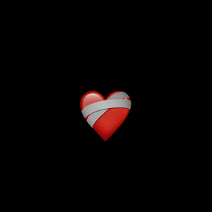 321F LOVE
