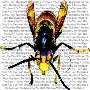 Do You Hear The Bees ?