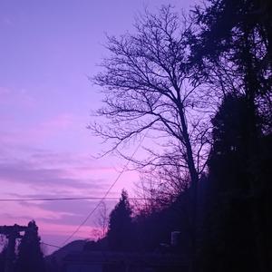 我看了56次日落（原唱：黑加伦）