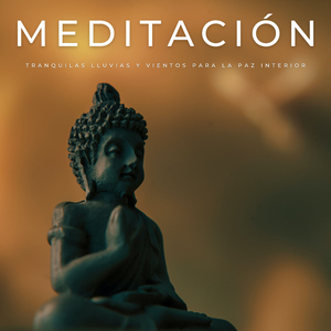 Tiempos Para Meditar