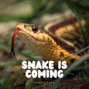 Snakes