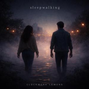 Sleepwalking