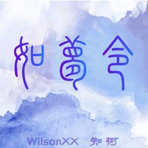 如梦令