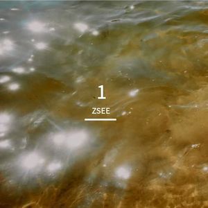 Free Tyler Type Beat