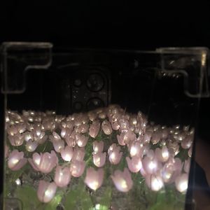 谢谢你赠我这场迷路