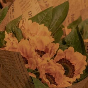 Faxo-Yeminler Ediyorum(伤感) 柯南（Aphrodite remix）