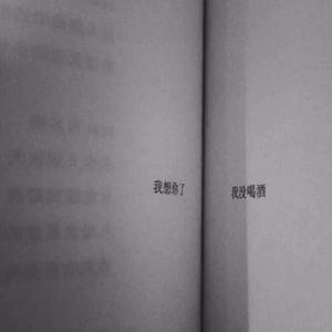 字典（翻自 高天佐Trouble.Z）