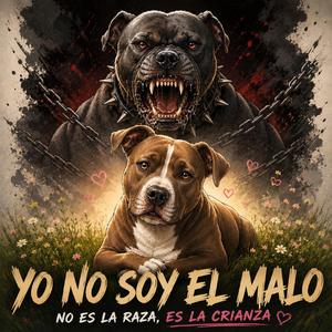 Yo no soy el malo