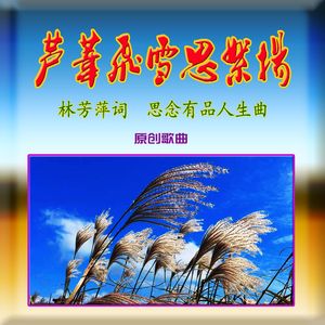 芦苇飞雪思絮扬（原唱版） 伴奏