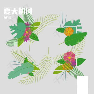 夏天的风