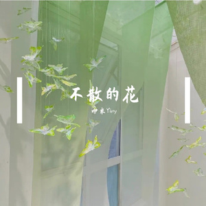 不散的花（Cover 泠鸢yousa）