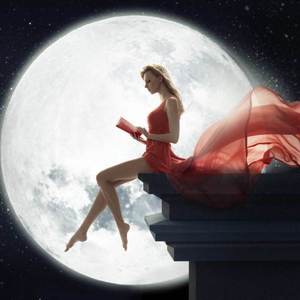 猫になりたい（想要成为猫）