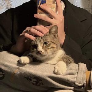 不败的英雄（李鑫版）