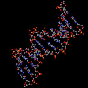 PCR之歌（生物人你懂得）