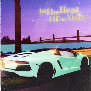 In the Heat of the Night