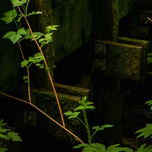 谁还没有刀锋般的下颚线