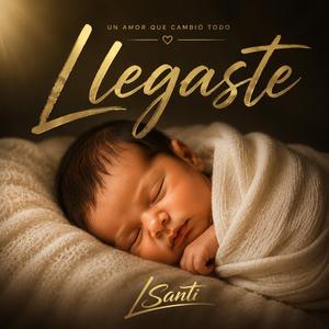 Llegaste
