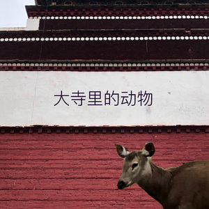 大寺里的动物
